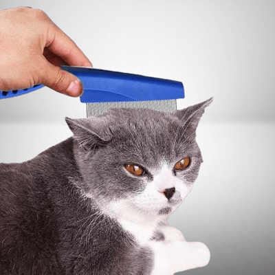Brosse Chat - CatSheddingHairComb™ - Bleu - Chattouilles