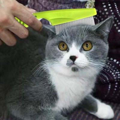 Brosse Chat - CatSheddingHairComb™ - Vert - Chattouilles