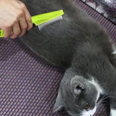 Brosse Chat - CatSheddingHairComb™ - Vert - Chattouilles