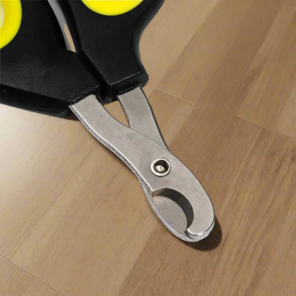 Coupe Ongle pour Chat - PetCatNailScissor™ - Noir Jaune - Chattouilles