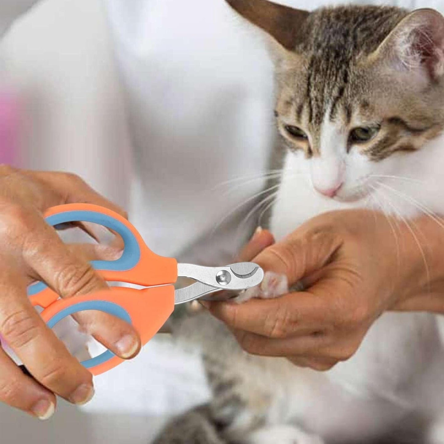 Coupe Ongle pour Chat - PetCatNailScissor™ - Orange Bleu - Chattouilles