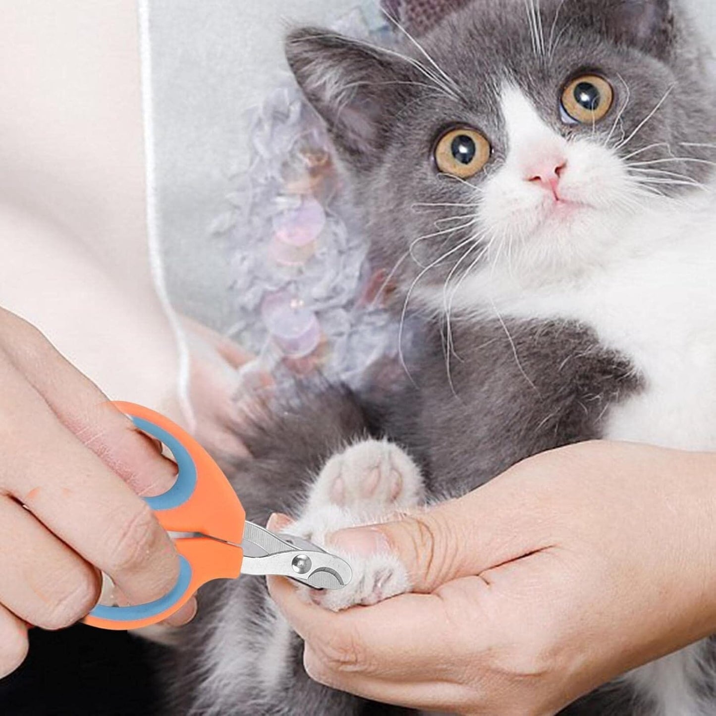 Coupe Ongle pour Chat - PetCatNailScissor™ - Orange Bleu - Chattouilles
