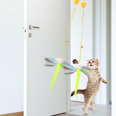 Jouet Chat Interactif - JumpPaw™ - Libellule - Chattouilles