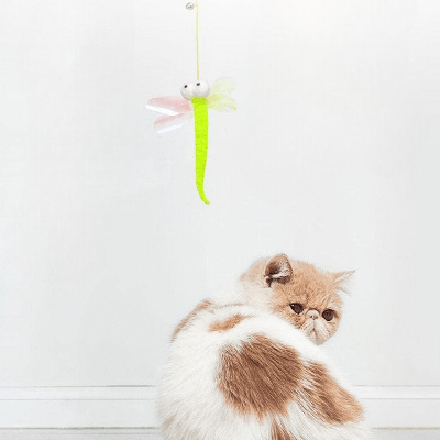 Jouet Chat Interactif - JumpPaw™ - Libellule - Chattouilles