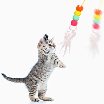 Jouet Chat Interactif - JumpPaw™ - Plume - Chattouilles