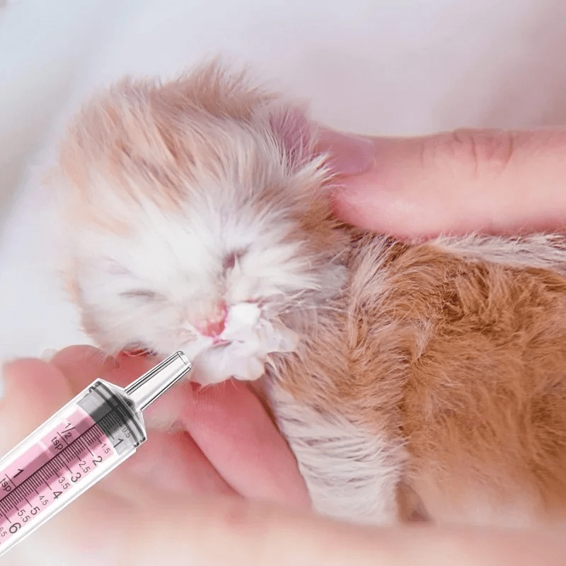 Seringue Alimentation - CatFeedingSyringe™ - Rose - Chattouilles